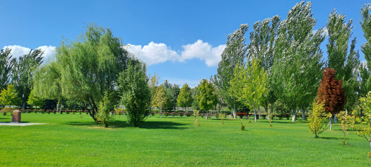 Парк Победы у Мамаева кургана