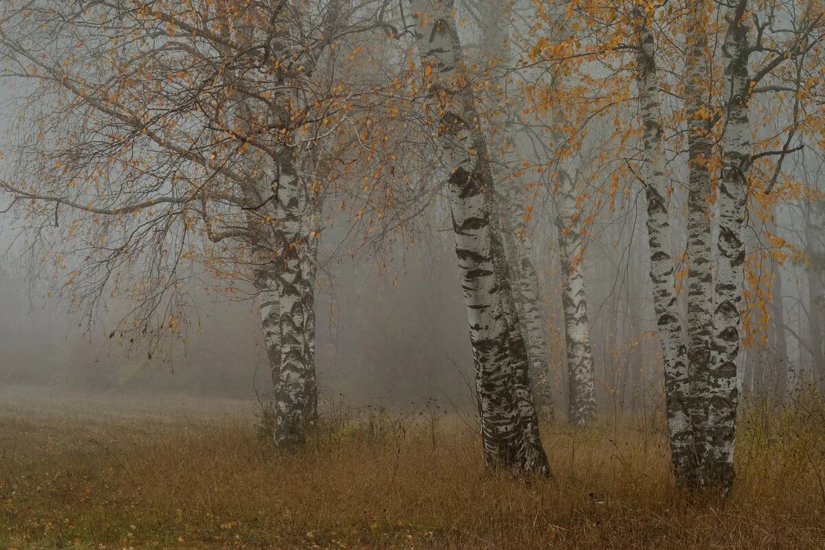 картинка из интернета