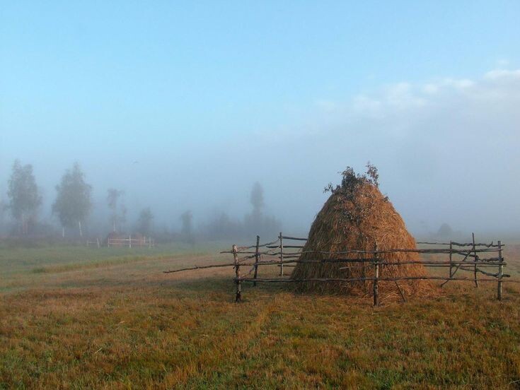 картинка из интернета