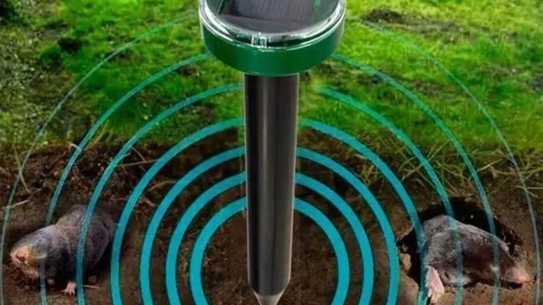 Ультразвуковые отпугиватели стали моим первым серьезным разочаровани