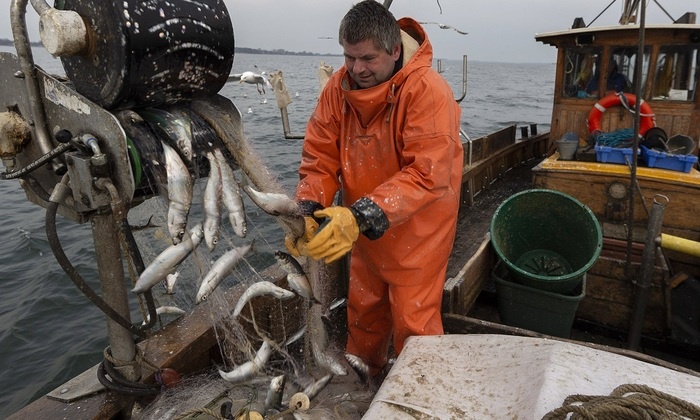 Почему наша рыба уплывает за рубеж