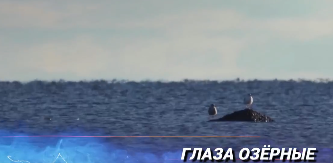    Артур Парфенчиков / ВК / Скриншот видео