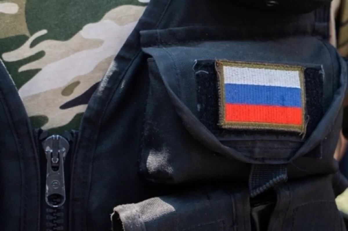    В Москве проводят акцию по сбору настольных игр для бойцов СВО в госпиталях