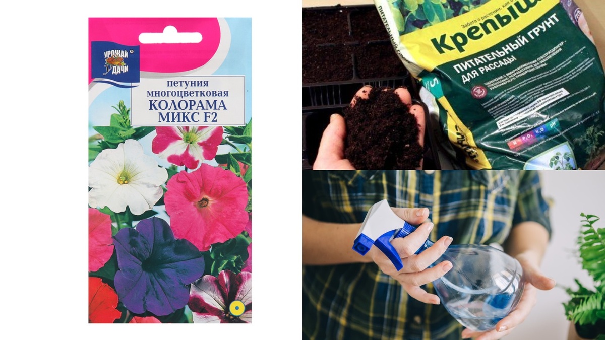 Правильно подготовленный грунт с перлитом - основа успешного посева