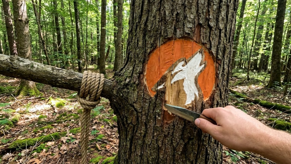 Научитесь хотя бы парочке до выхода