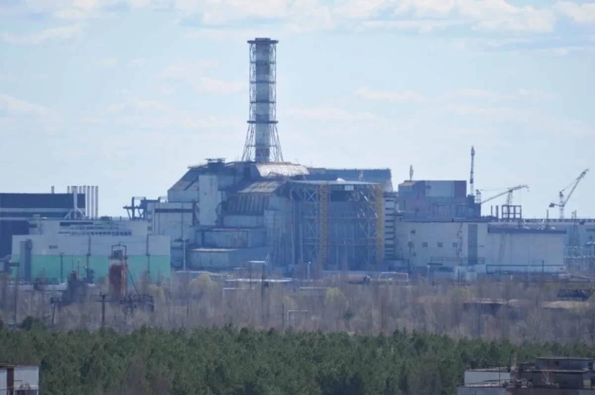    Учёные обнаружили в Чернобыле гриб, способный питаться радиацией