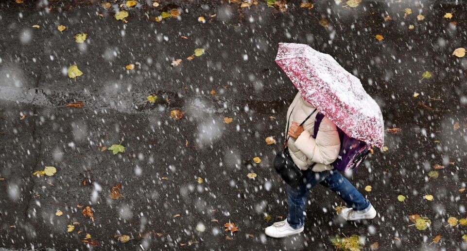    РИА «Новости»