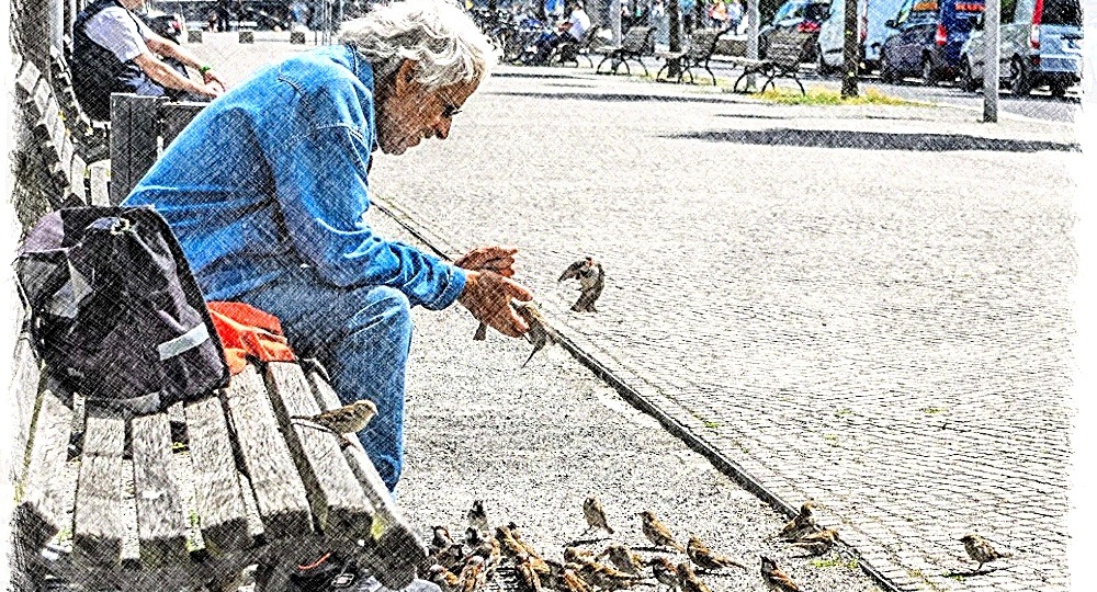 Последние крошки