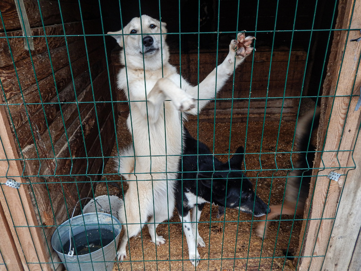     Фото: Пресс-служба УФСИН России по Кировской области