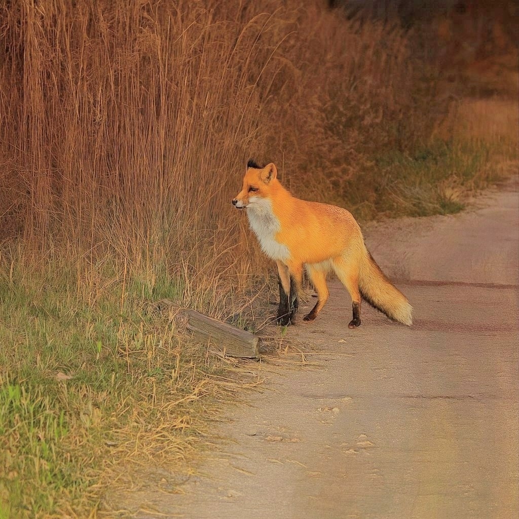 Фото - Екатерина Моисеева