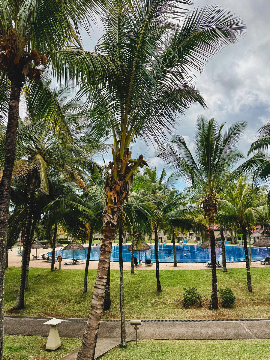 Тот самый вид из номера.