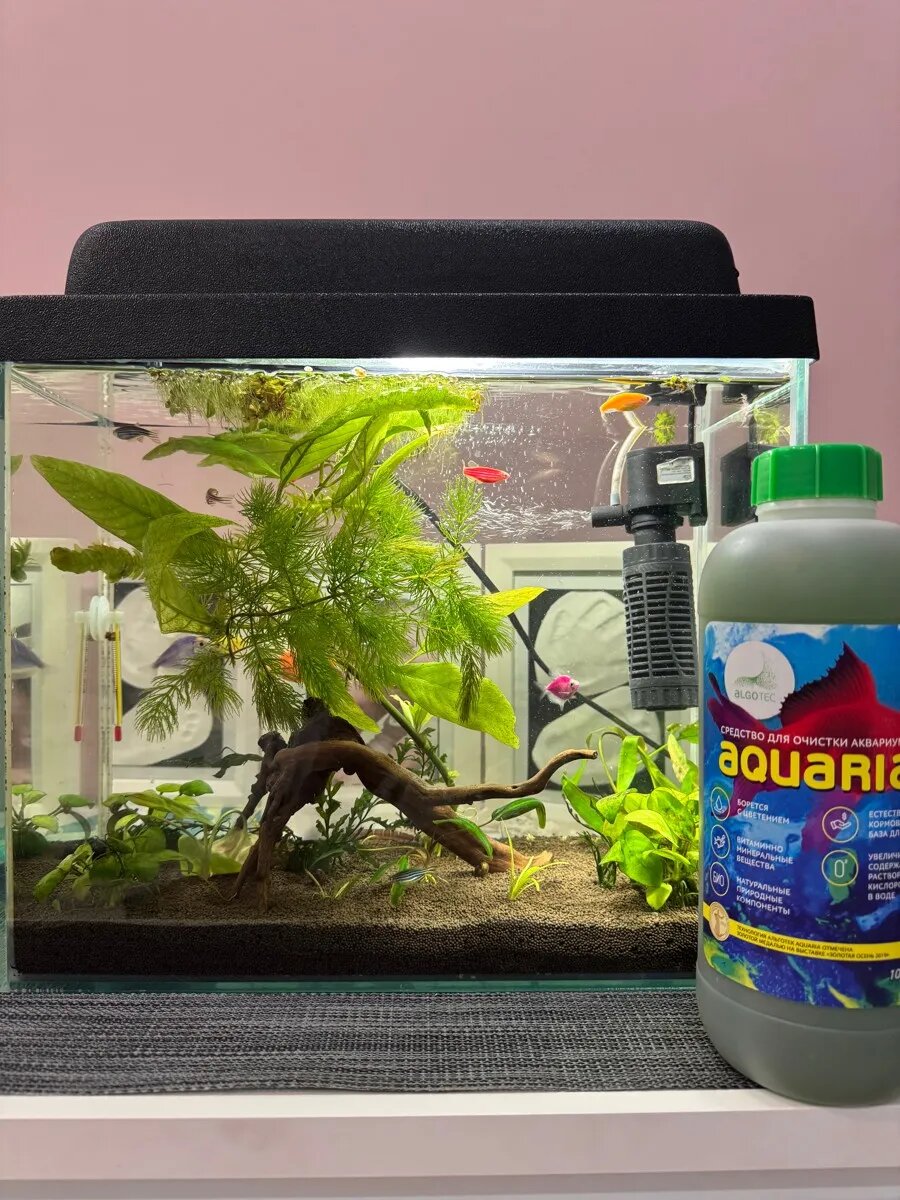 Рейтинг 4,8★ по мнению более 10 000 аквариумистов. Живая хлорелла для аквариума.