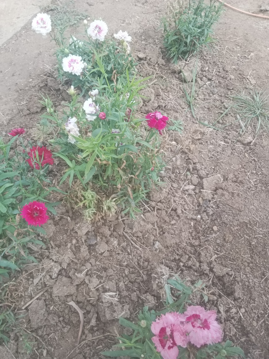 Это и всё остальные фото мои