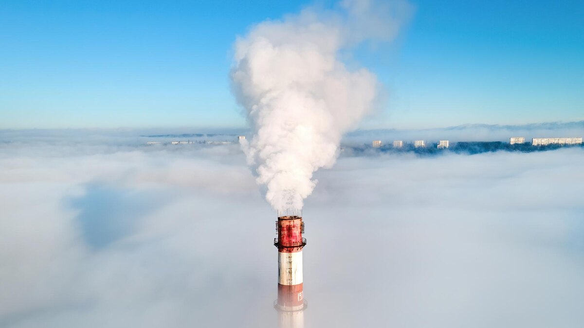    Фото: freepik.com/frimufilms