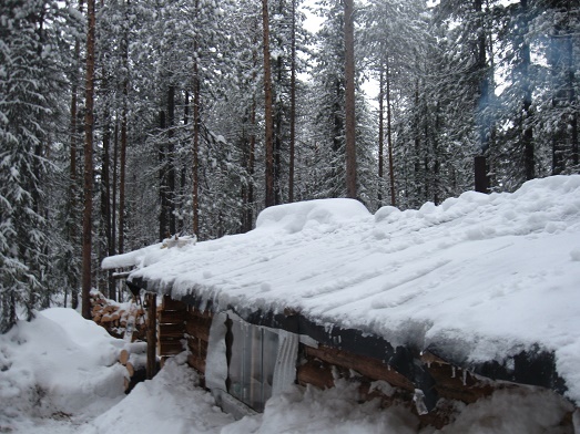 Фотографии Татьяны Немшановой разных лет. Первые числа декабря в тайге Крайнего Севера Западной Сибири ХМАО Югра, Зауралье, Приполярный Урал, Таёжное безмолвие, таёжная жизнь специфична и не только. Охотник и лайка Западной Сибири ХМАО Югра. Полярный полдень. Сумрак таёжной северной Таёжное зимовье в тайге Крайнего Севера Западной Сибири.