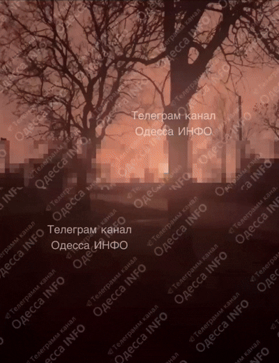    Видео: Telegram/ОДЕССА ИНФО