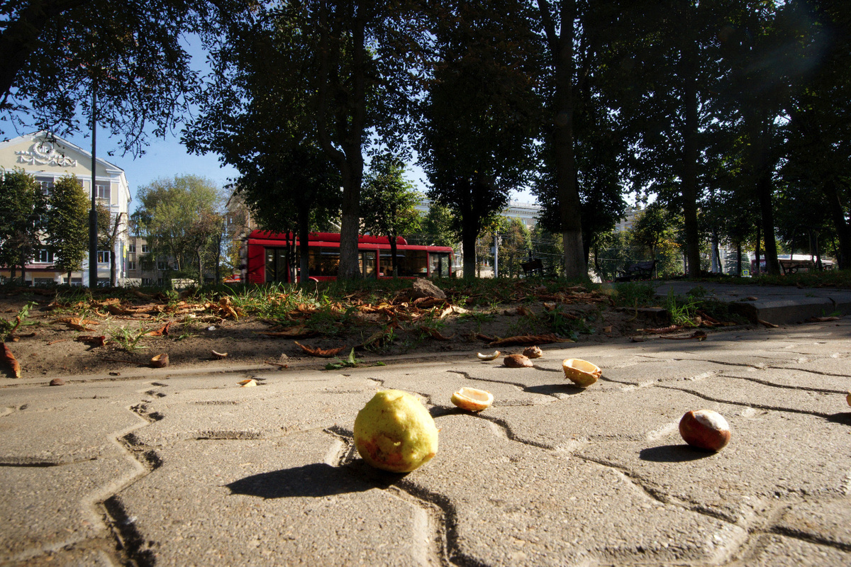 Фото: Сергей Леонов.