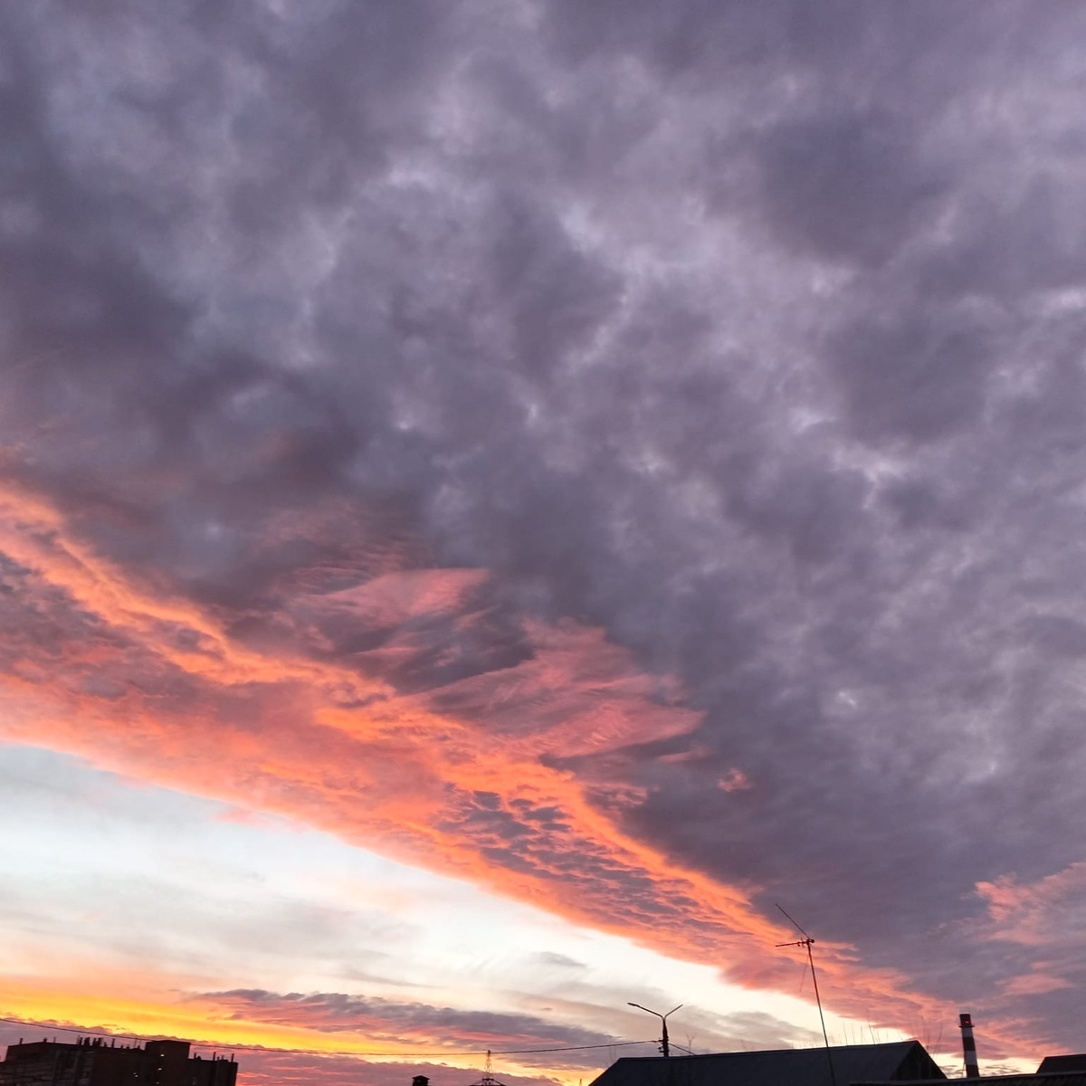 Фото: Александр Панов.