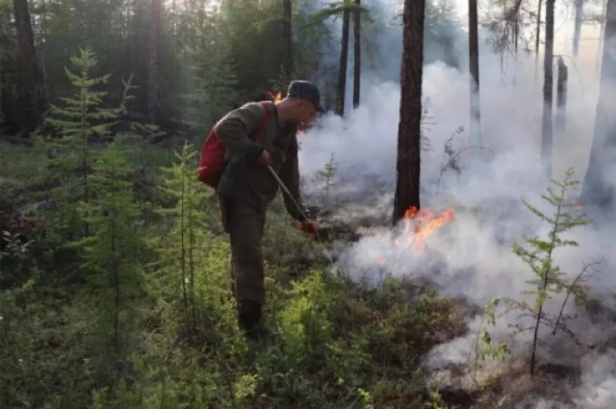    Хабаровский лесозаготовитель оштрафован за нарушение пожарной безопасности