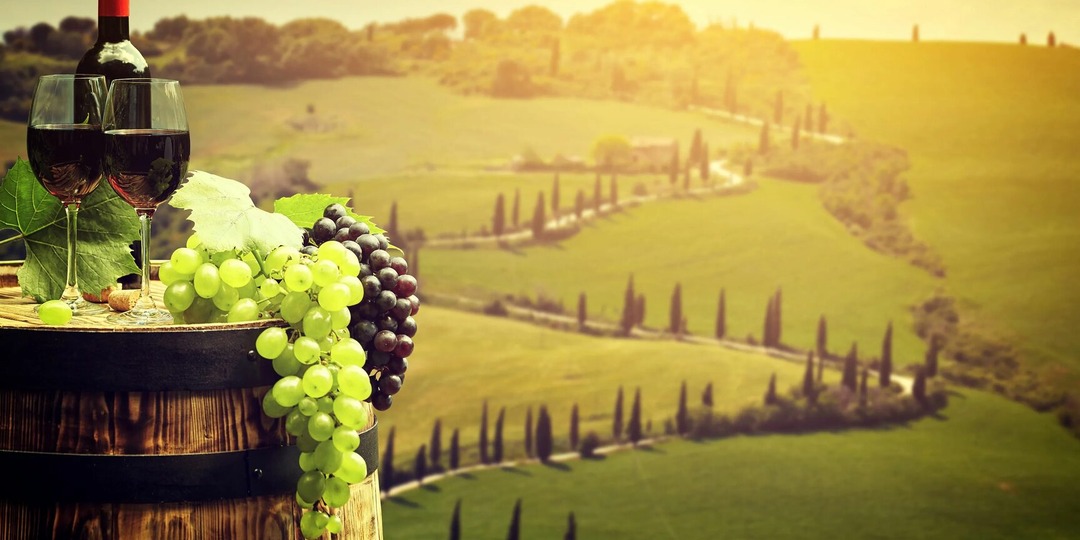 База по вину! От дозы до бокала!