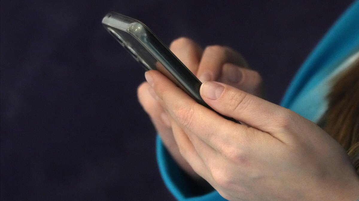    Фото: ИЗВЕСТИЯ/Дмитрий Коротаев