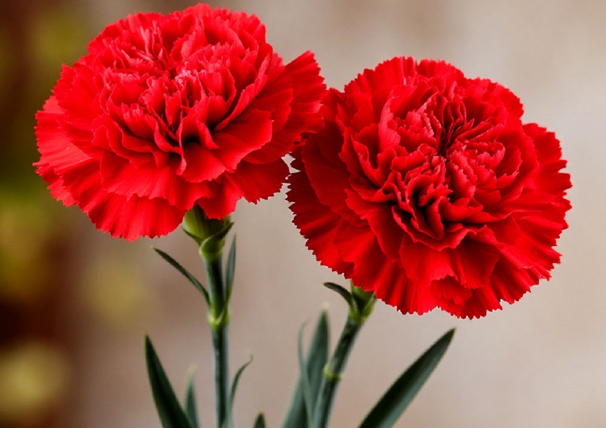 Фото: Шедеврум