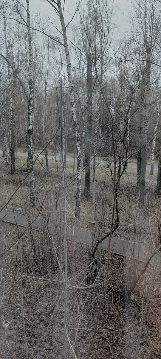 Погода за окном 🙈