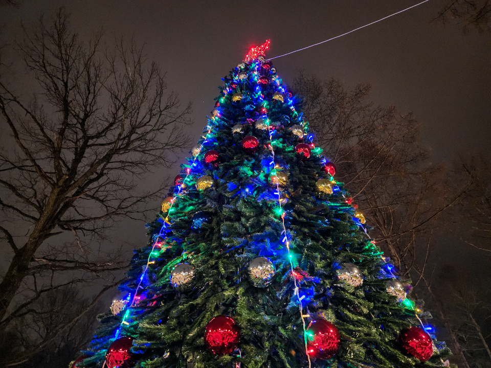    Фото: МедиаБанк Подмосковья/Мария Андрюхина