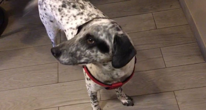    фото из архива редакции