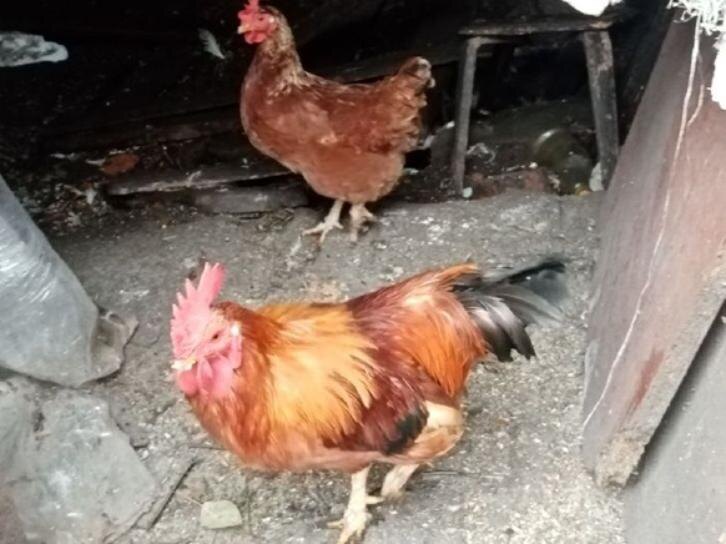    Фото: Пруфы.рф