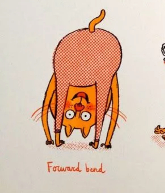 Картинка из интернета 