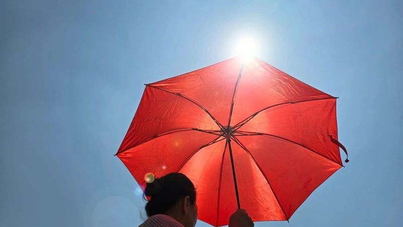    Фото: Andri wahyudi/Shutterstock/Fotodom