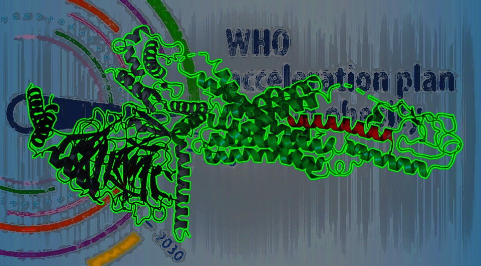   N + 1; WHO; Scheng23 / Wikimedia Commons / CC BY-SA 4.0