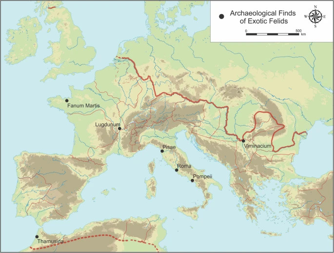   Sonja Vuković et al. / Archaeological and Anthropological Sciences, 2025
