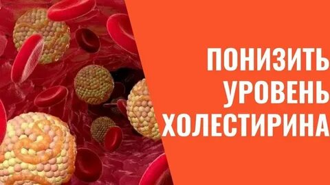 10 растений, которые мягко поддерживают здоровье сосудов и уровень холестерина