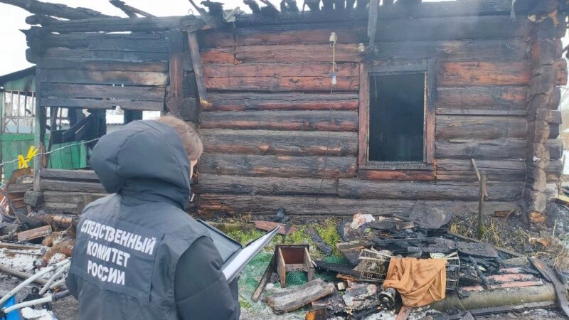     В Алтайском крае расследуют гибель детей в сильном пожаре СУ СК по Алтайскому краю