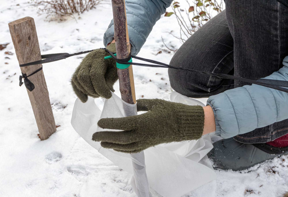    Shutterstock/FOTODOM