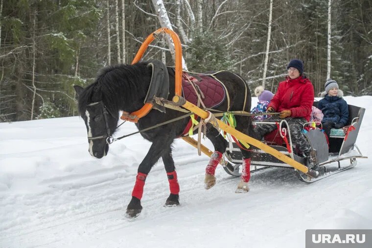 Наш предки в этот день прокладывали санный путь

Фото: Сергей Русанов © URA.RU