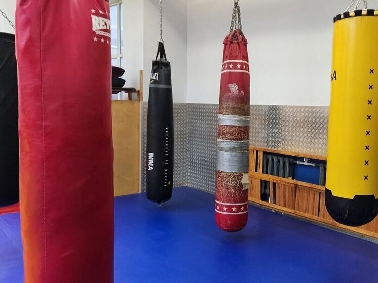     Официальное открытие турнира состоится 4 декабря в 12:00. Фото: архив МК в Ленобласти.