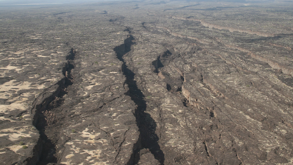 (источник: rbc.ru)