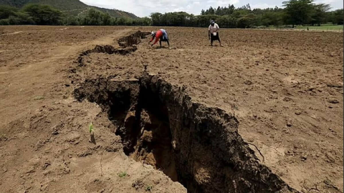 (источник: liter.kz)