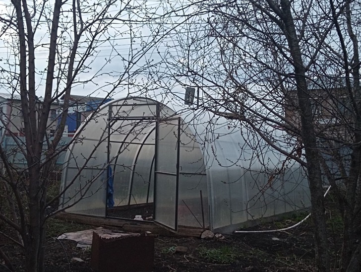    Фото: Пруфы