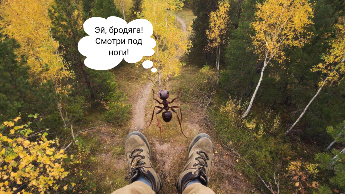 Разговор с муравьём. 