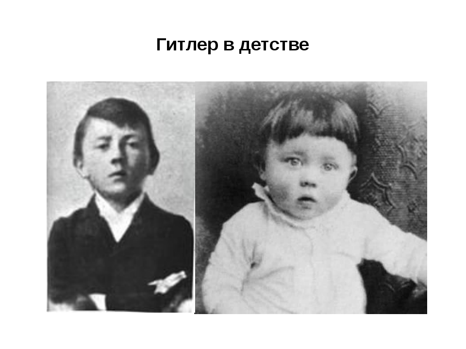 Фото из свободных источников.