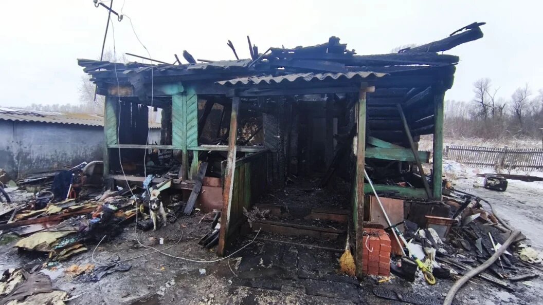    фото: t.me/su_skr22