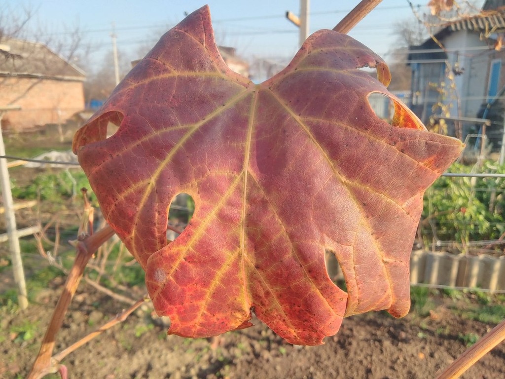 Фото Евгения П.