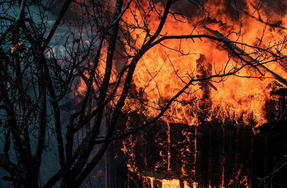 Фото: freepik.com  📷
