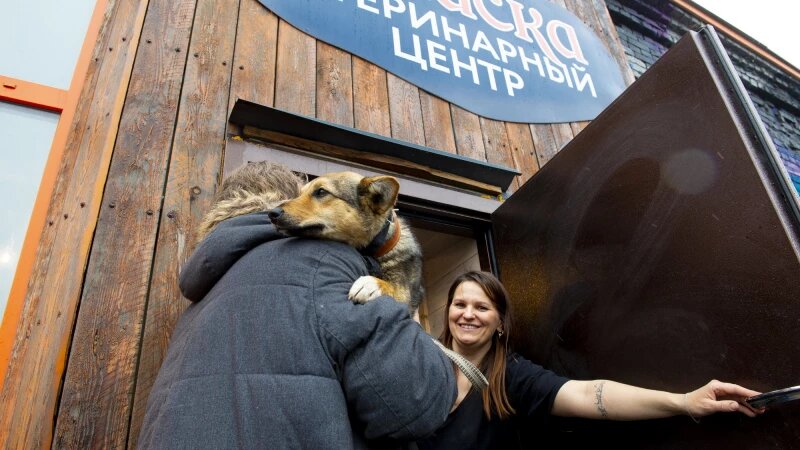     Открытие ветеринарного центра при приюте «Ласка». Анна Зайкова