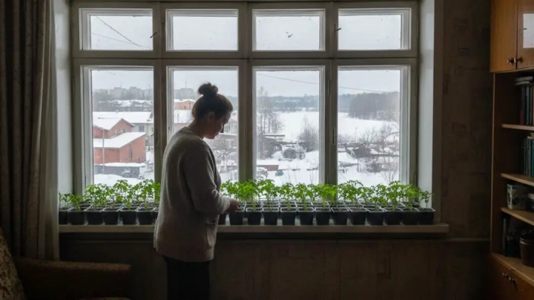    Коллаж "Царьграда".