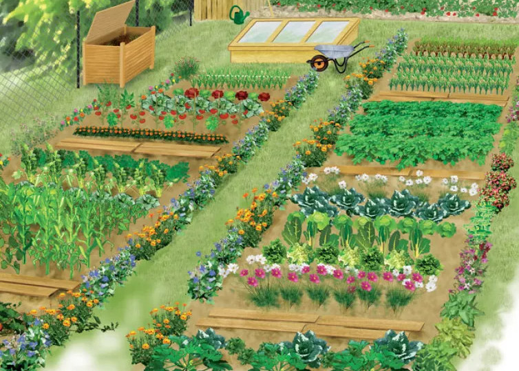 🌱 Составление плана посадок на весну: как я научилась укрощать хаос и полюбила зимние вечера с блокнотом